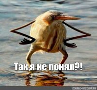 Смешные картинки