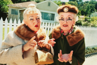 Смешные картинки из соц сетей