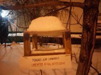 Смешные картинки