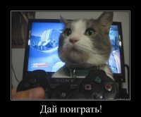 Смешные картинки