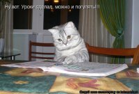 Смешные картинки