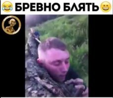 Смешные картинки и не очень