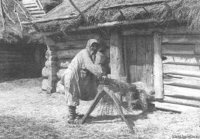 Женщина сидит на мялке для льна, карельского типа.