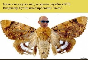 Прикольные и смешные картинки