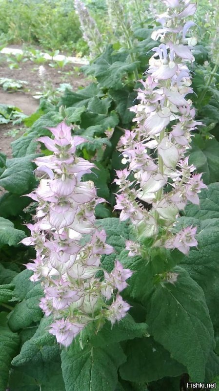 Утро доброе!!!