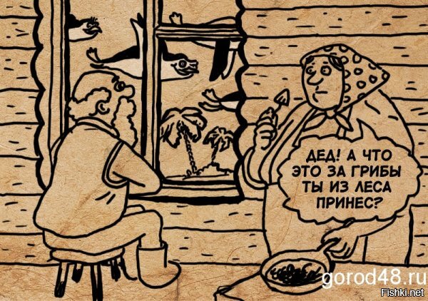 Открытие грибного сезона в Москве