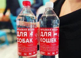 И как коты и собаки выживали десятки тысяч лет пока вас лохов не начали разводить на специальную еду? Вы им случайно ещё специальную воду не покупаете?