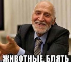 Смешные картинки из соц сетей