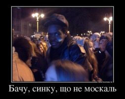 Смешные картинки