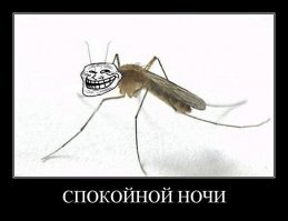 Смешные картинки