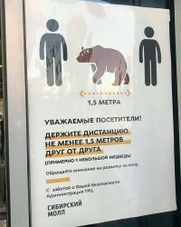 Прикольные и смешные картинки