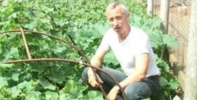 Главное не перегнуть палку
