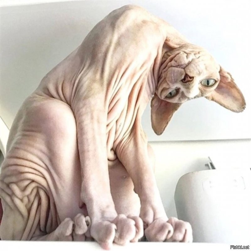 Солянка от 15.06.2020