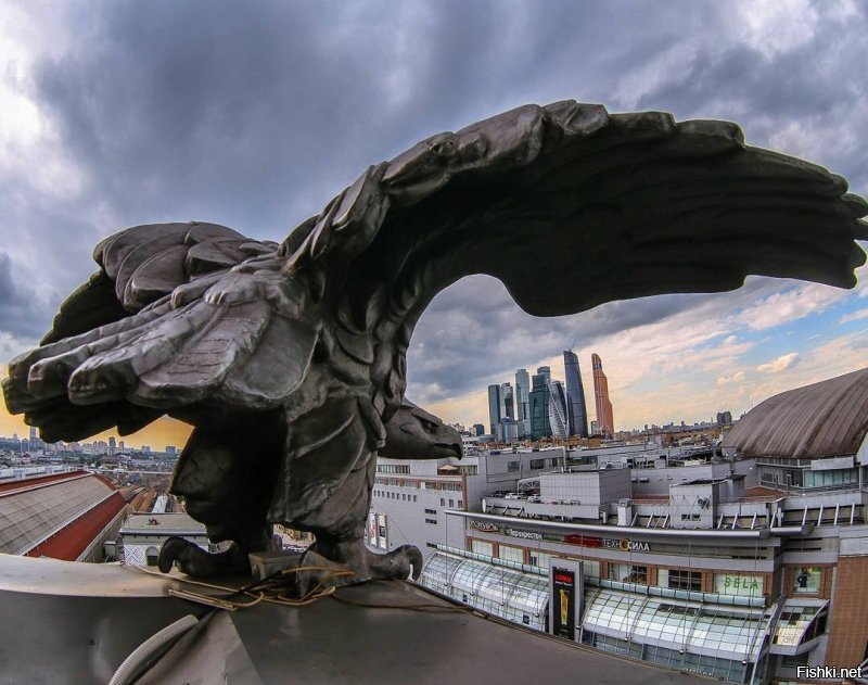 Фотомонтаж.В реале-это фото с часовой башни "Киевского вокзала".Там четыре птички по углам сидят.Я в неё поднимался однажды.Изменён ракурс.