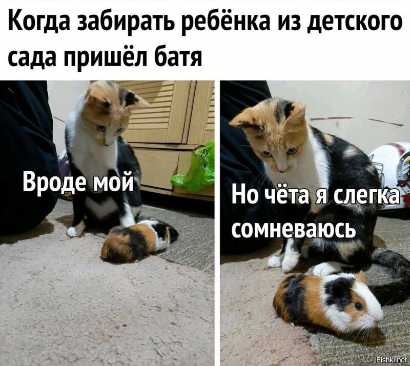 Солянка от 14.06.2020