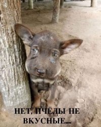 Смешные картинки и не очень