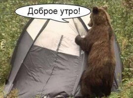 Смешные картинки