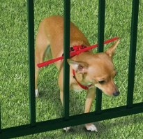 Демотиваторы про жизнь, котиков и любовь