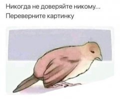 Дурь, типа, такого... на внимательность