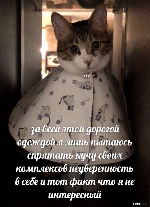 Солянка от 15.06.2020