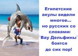 ТОП Самых опасных пляжей В МИРЕ