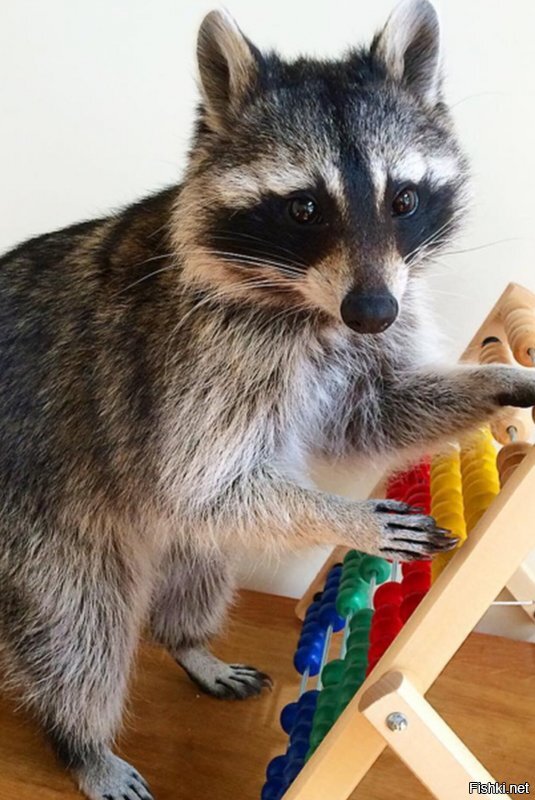 Солянка от 16.06.2020