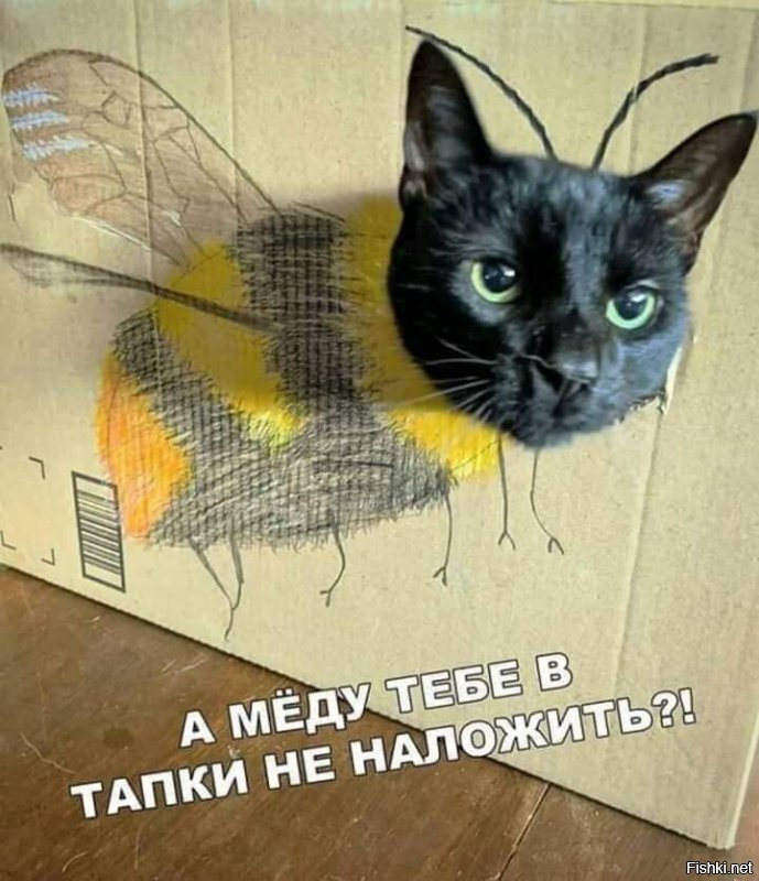 Солянка от 16.06.2020