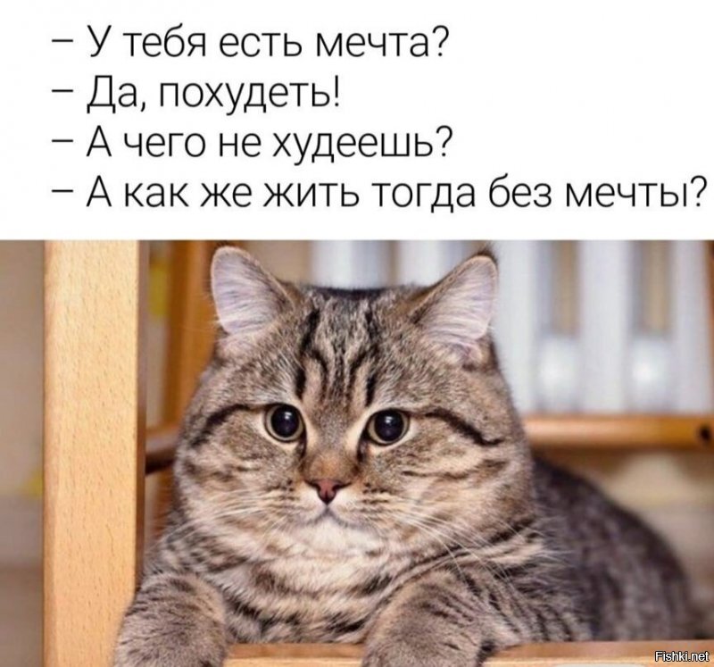Солянка от 16.06.2020