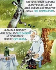 Прикольные и смешные картинки