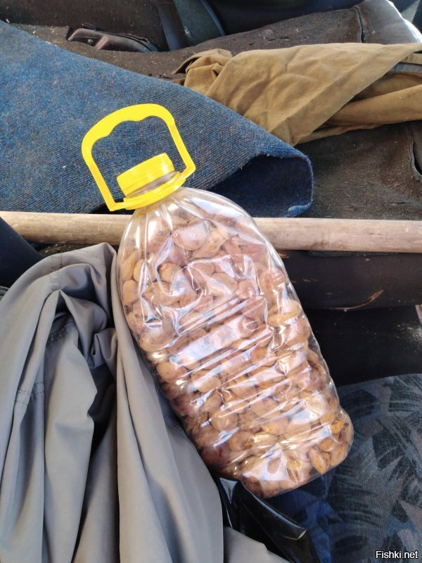 О, класс! А я вчера разжился по случаю! 3,5кг.