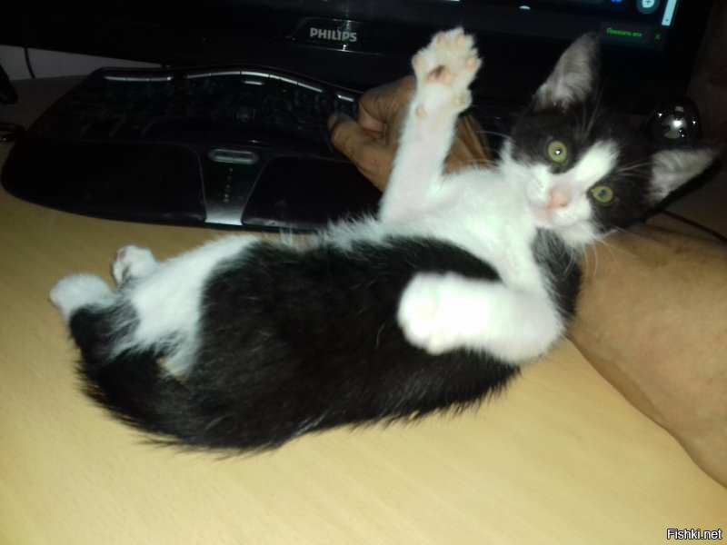 Солянка от 16.06.2020