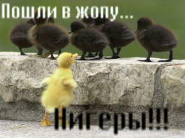 Черно-белые  и цветные картинки. Разных лет и разной знакомости