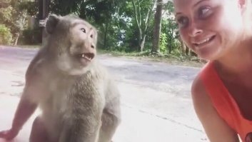 Не надо было гримасничать - обезьянка явно приняла гримасы на свой счёт.