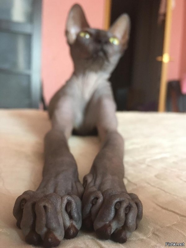 вы кто такие?