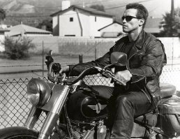 Байк - это есть гуд. Даже Терминатор любил прокатиться на Харли-Дэйвидсоне. И попробовал бы кто нибудь назвать его хрустиком...