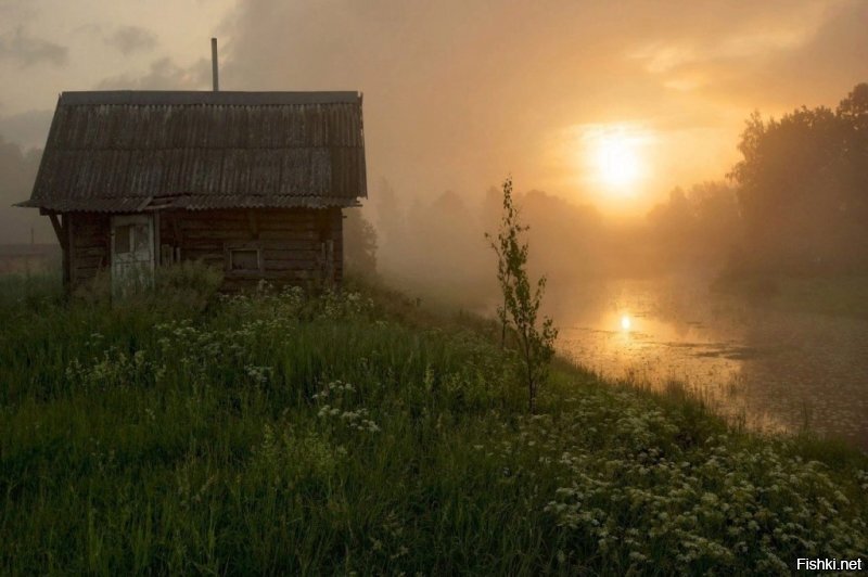 Солянка от 17.06.2020