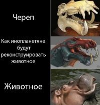 Смешные картинки и не очень