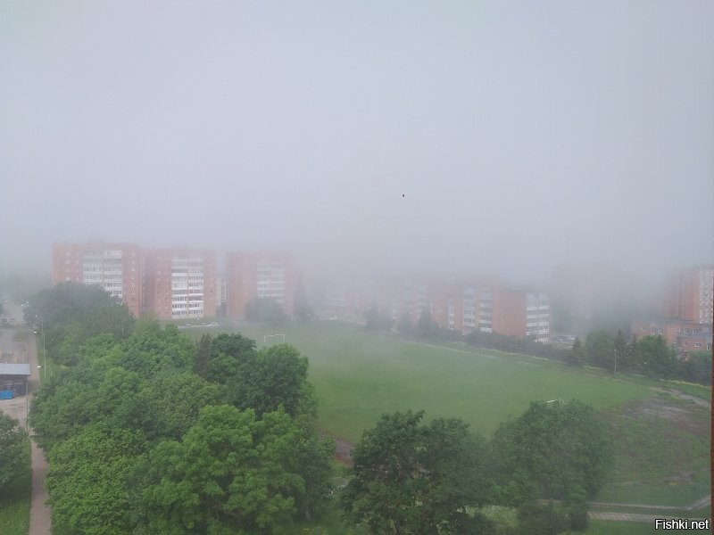 Эстония,дневной туман 10:30