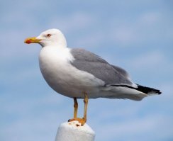 Мой список: