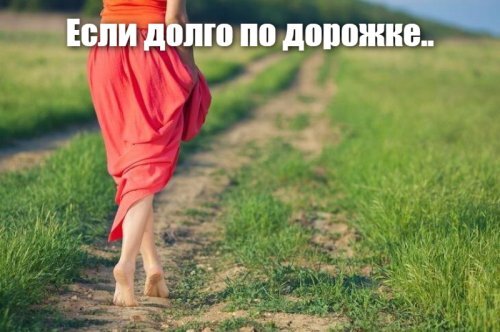 Солянка от 17.06.2020