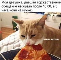 Смешные картинки