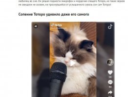 Прям под текстом. Дождитесь полную загрузку страницы и появится.