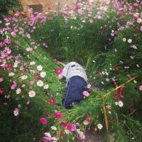 Проснулась Света утром вся в цветах...Боже, какая романтика!Огляделась, ... . твою мать, - клумба! ...