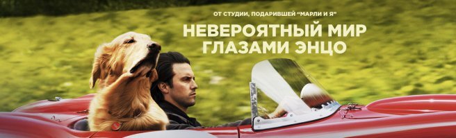 10 лучших фильмов о животных, которые порадуют всю вашу семью