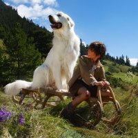 Посмотрите замечательный фильм-трилогию "Белль и Себастиан".
Не пожалеете!