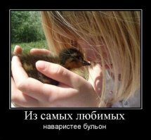 Из трех яиц, купленных девушкой в супермаркете, вылупились утята