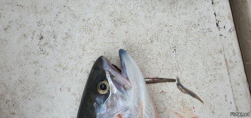 Была, ты пропустила