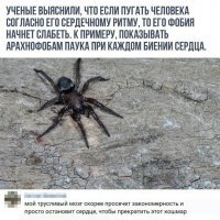 Прикольные и смешные картинки