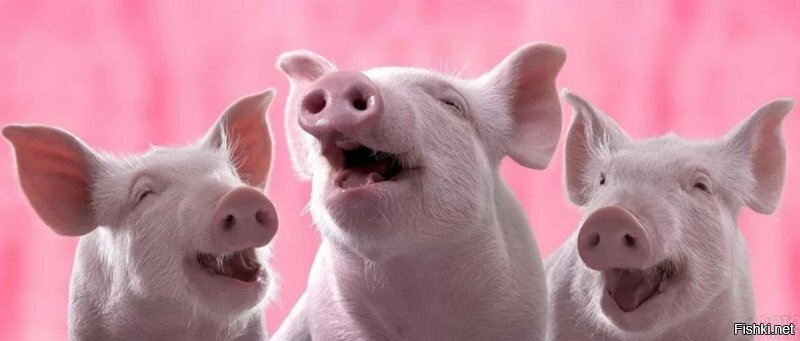 .. спит на диване. Надо всех проверить...