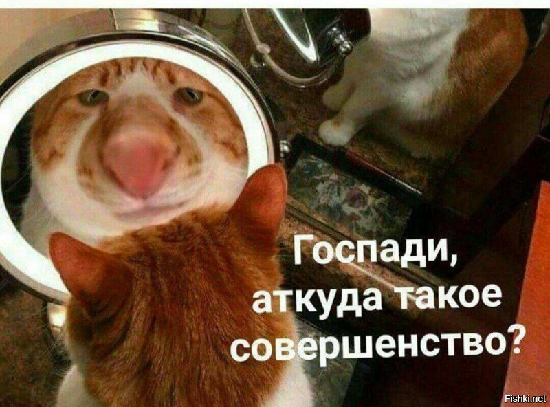 Солянка от 18.06.2020